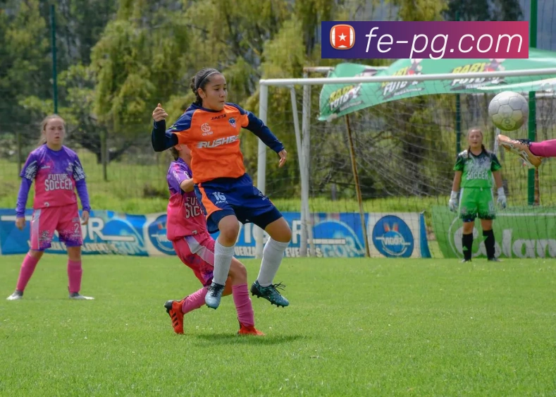 多媒体互动体验